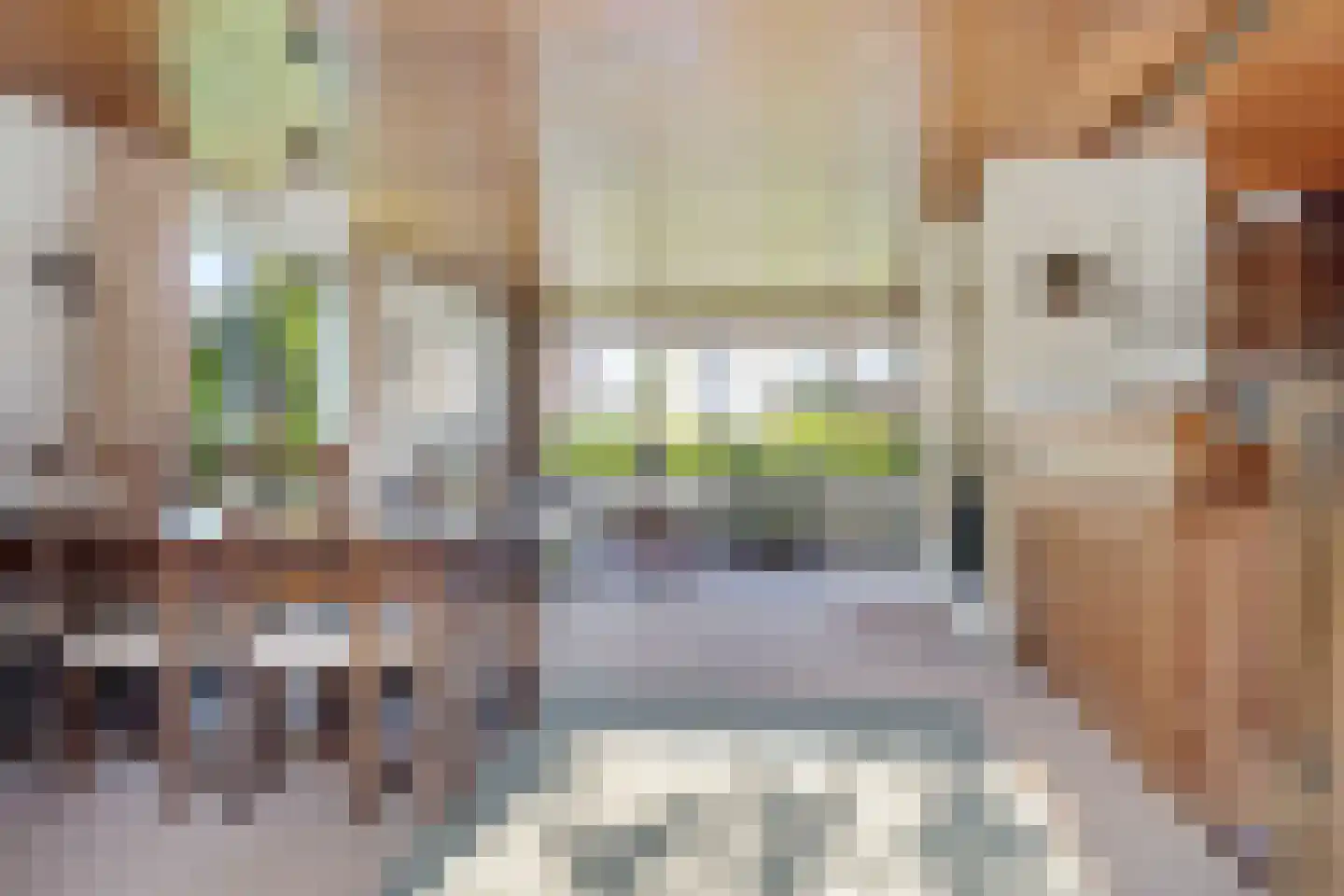Johan Buijeslaan 18 Monnickendam thumbnail 25