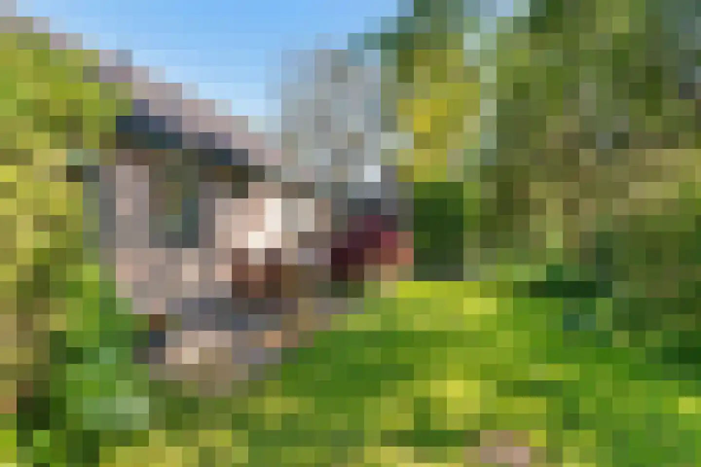 Johan Buijeslaan 18 Monnickendam thumbnail 34