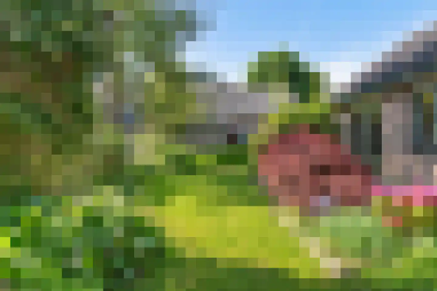 Johan Buijeslaan 18 Monnickendam thumbnail 36