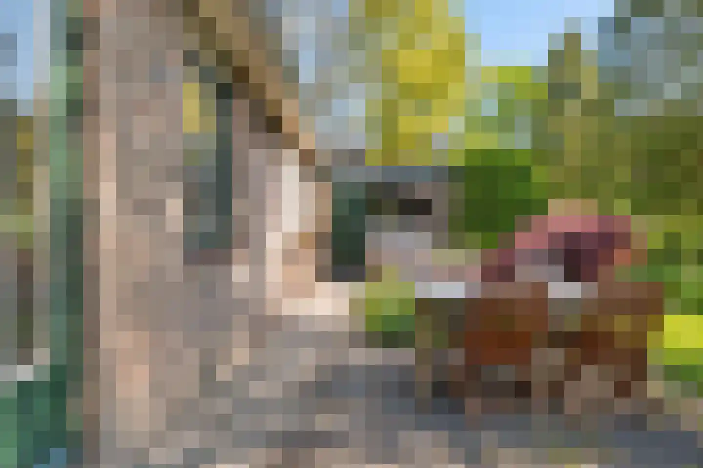 Johan Buijeslaan 18 Monnickendam thumbnail 37