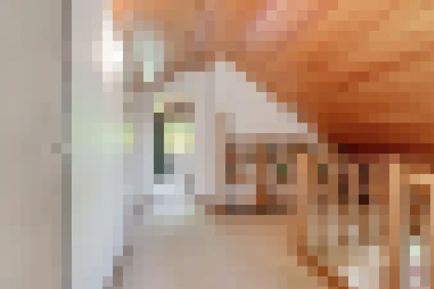 Johan Buijeslaan 18 Monnickendam thumbnail 44
