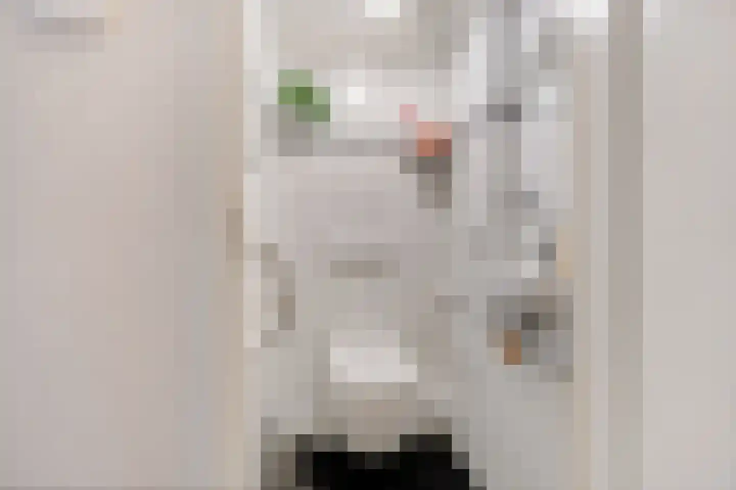 Johan Buijeslaan 8 Monnickendam thumbnail 10