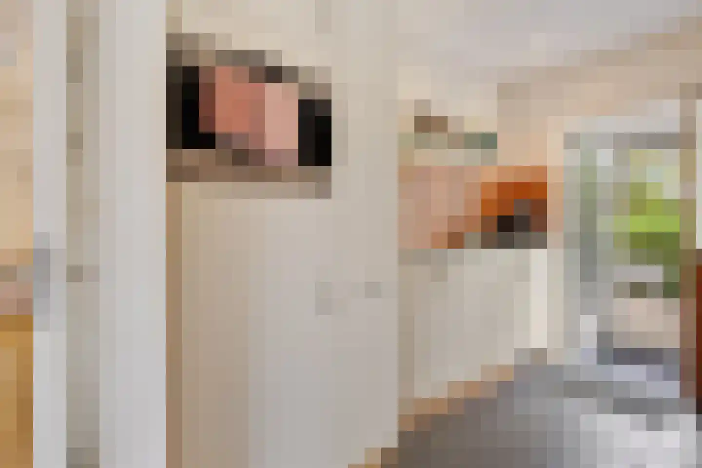 Johan Buijeslaan 8 Monnickendam thumbnail 26