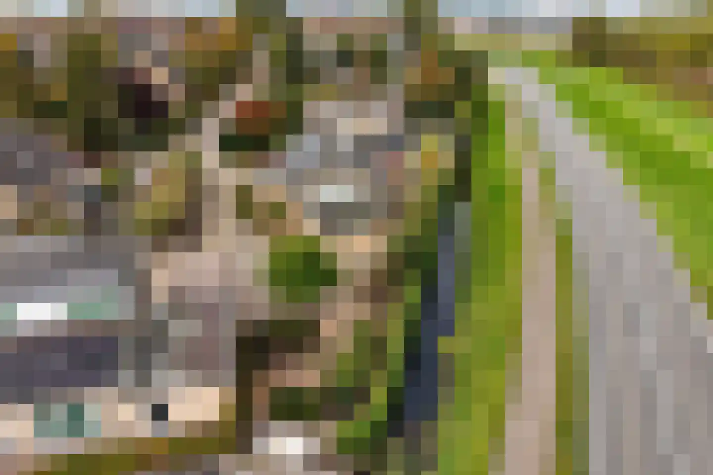 Johan Buijeslaan 8 Monnickendam thumbnail 59