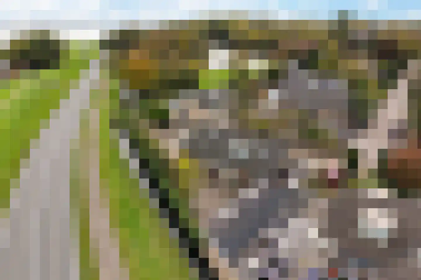 Johan Buijeslaan 8 Monnickendam thumbnail 60