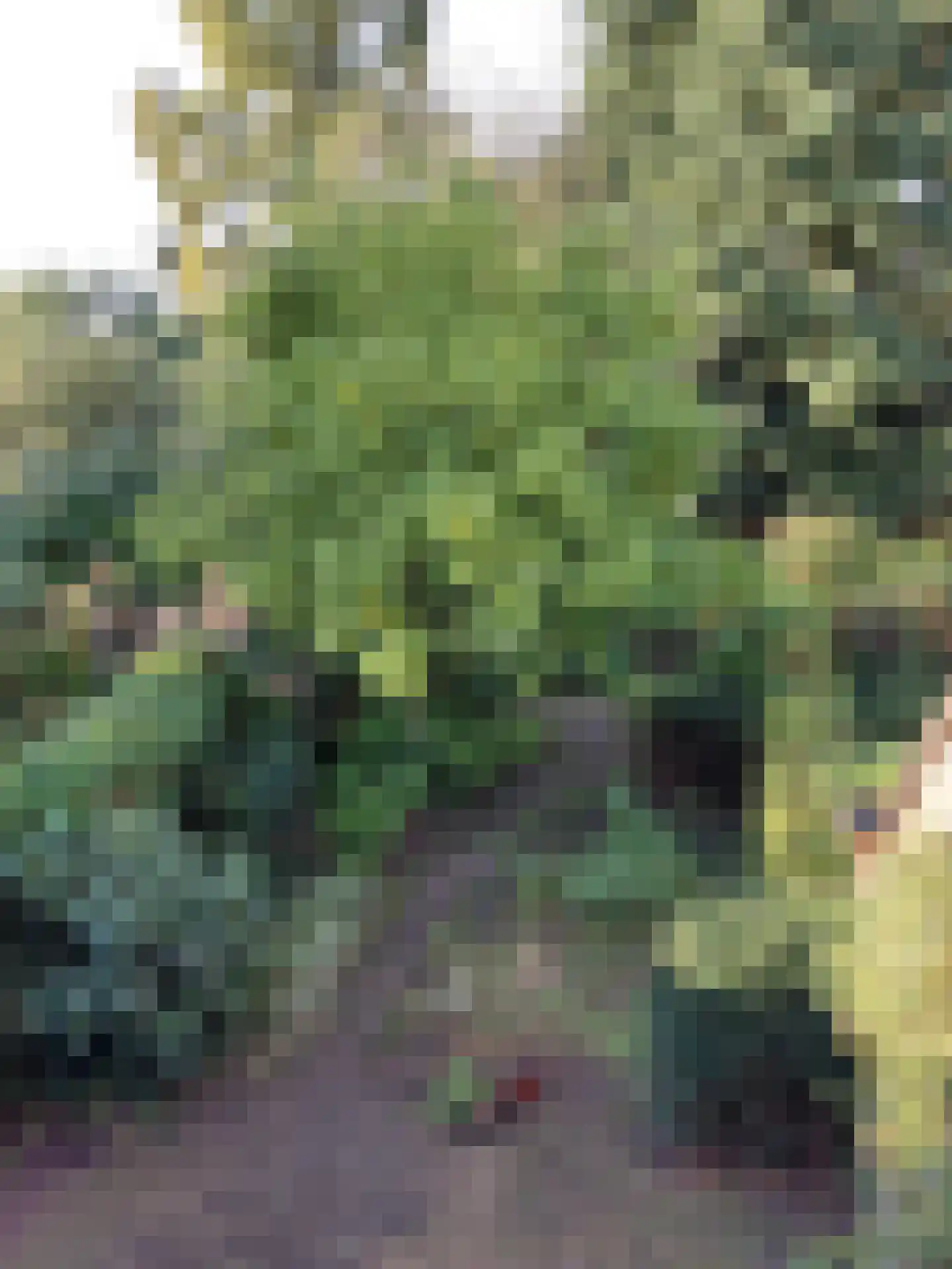 Johan Buziaulaan 75 Utrecht thumbnail 26