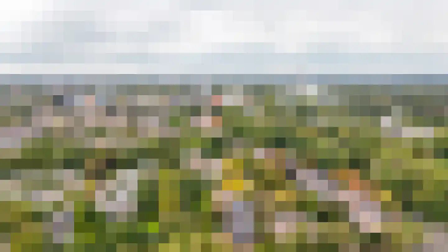 Johan Buziaulaan 75 Utrecht thumbnail 40