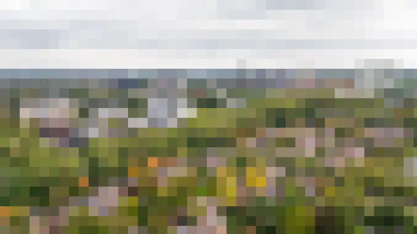 Johan Buziaulaan 75 Utrecht thumbnail 41