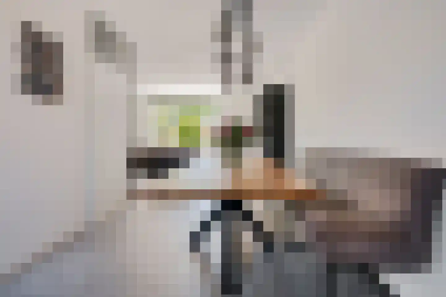 Johan Buziaustraat 105 Hengelo thumbnail 11