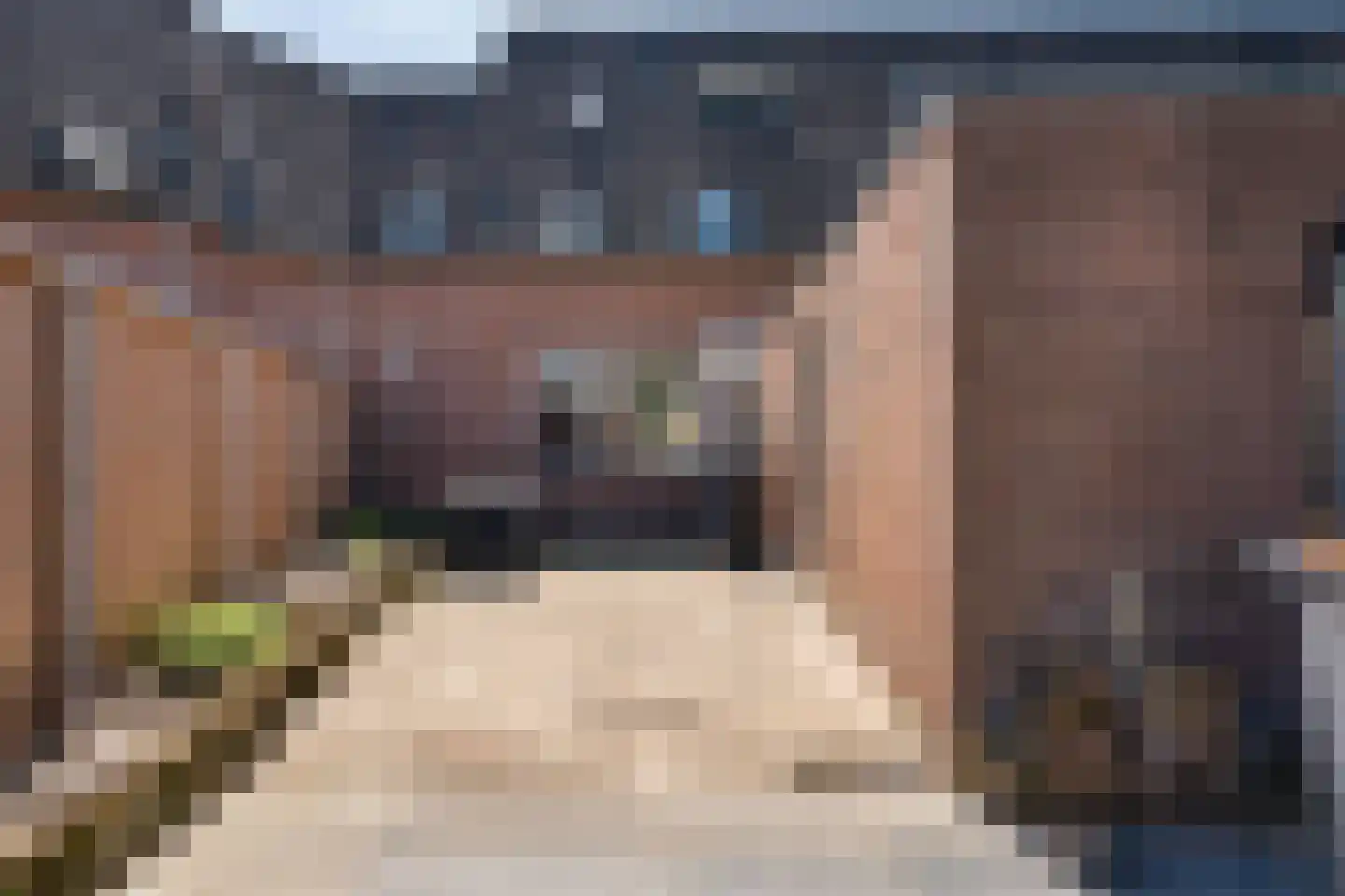 Johan Buziaustraat 105 Hengelo thumbnail 34