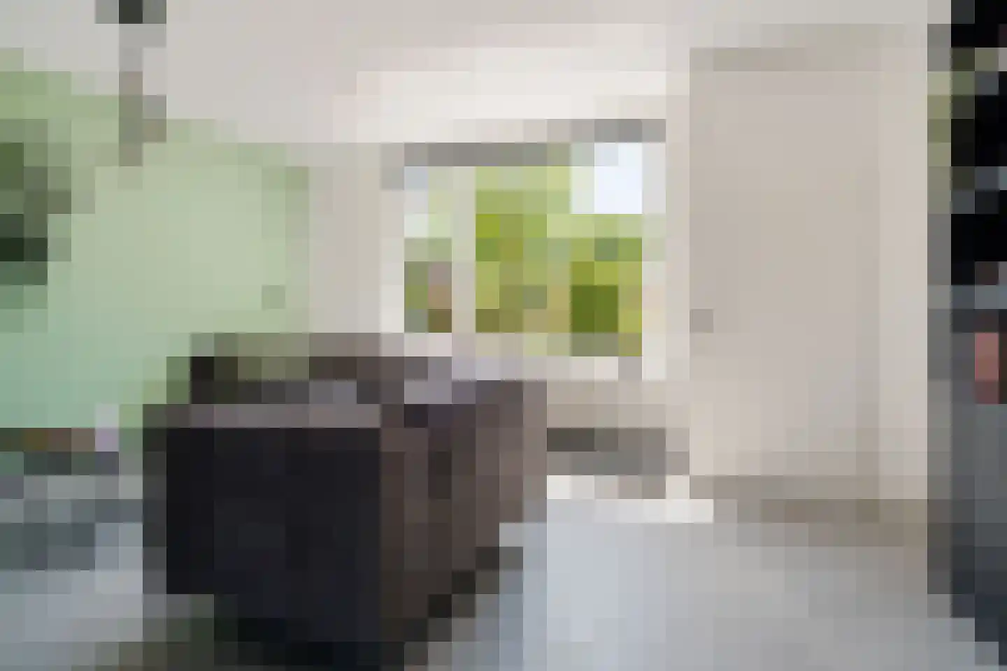 Johan Buziaustraat 105 Hengelo thumbnail 8