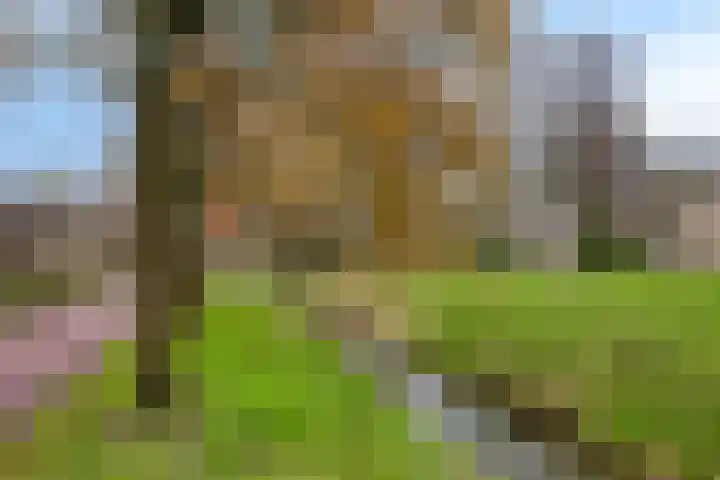 Johan Buziaustraat 138 Hengelo thumbnail 38