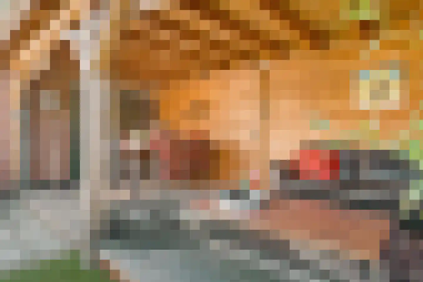 Johan Buziaustraat 179 Hengelo thumbnail 30
