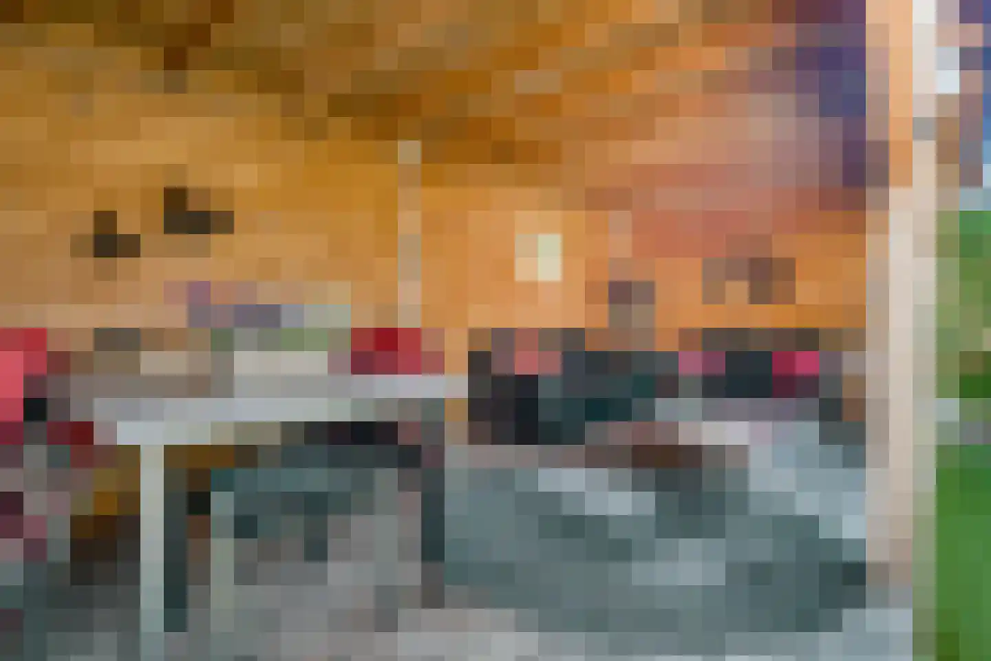 Johan Buziaustraat 179 Hengelo thumbnail 32