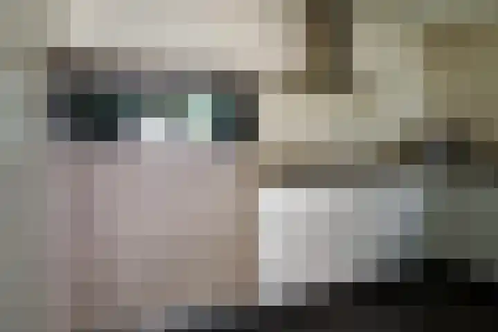 Johan Buziaustraat 22 Hengelo thumbnail 14