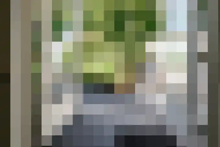 Johan Buziaustraat 22 Hengelo thumbnail 17