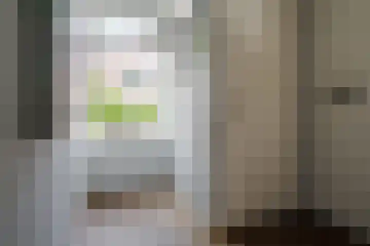 Johan Buziaustraat 22 Hengelo foto 3