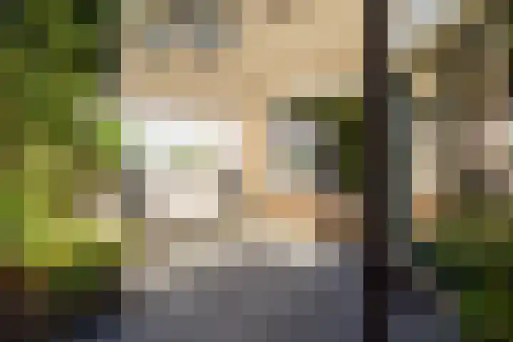 Johan Buziaustraat 22 Hengelo thumbnail 33