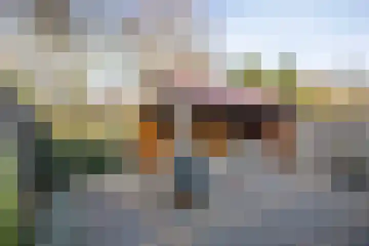 Johan Buziaustraat 27 Hengelo thumbnail 24