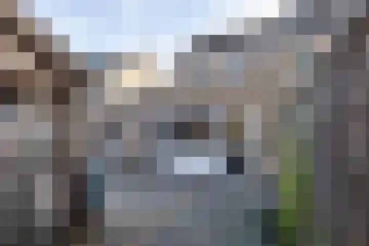 Johan Buziaustraat 27 Hengelo thumbnail 27