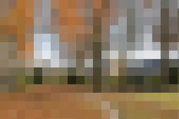 Johan Buziaustraat 27 Hengelo thumbnail 30