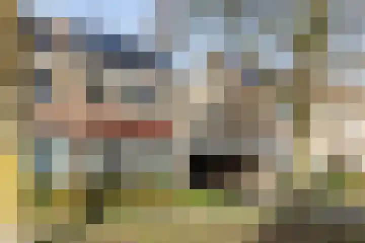 Johan Buziaustraat 27 Hengelo thumbnail 32