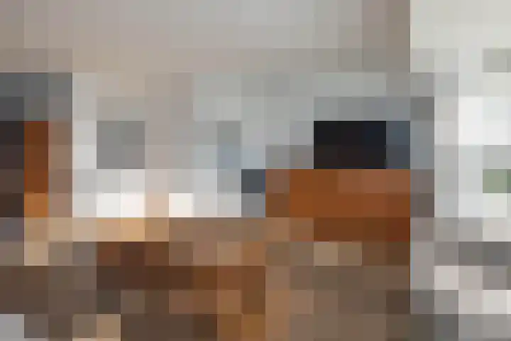 Johan Buziaustraat 27 Hengelo thumbnail 5