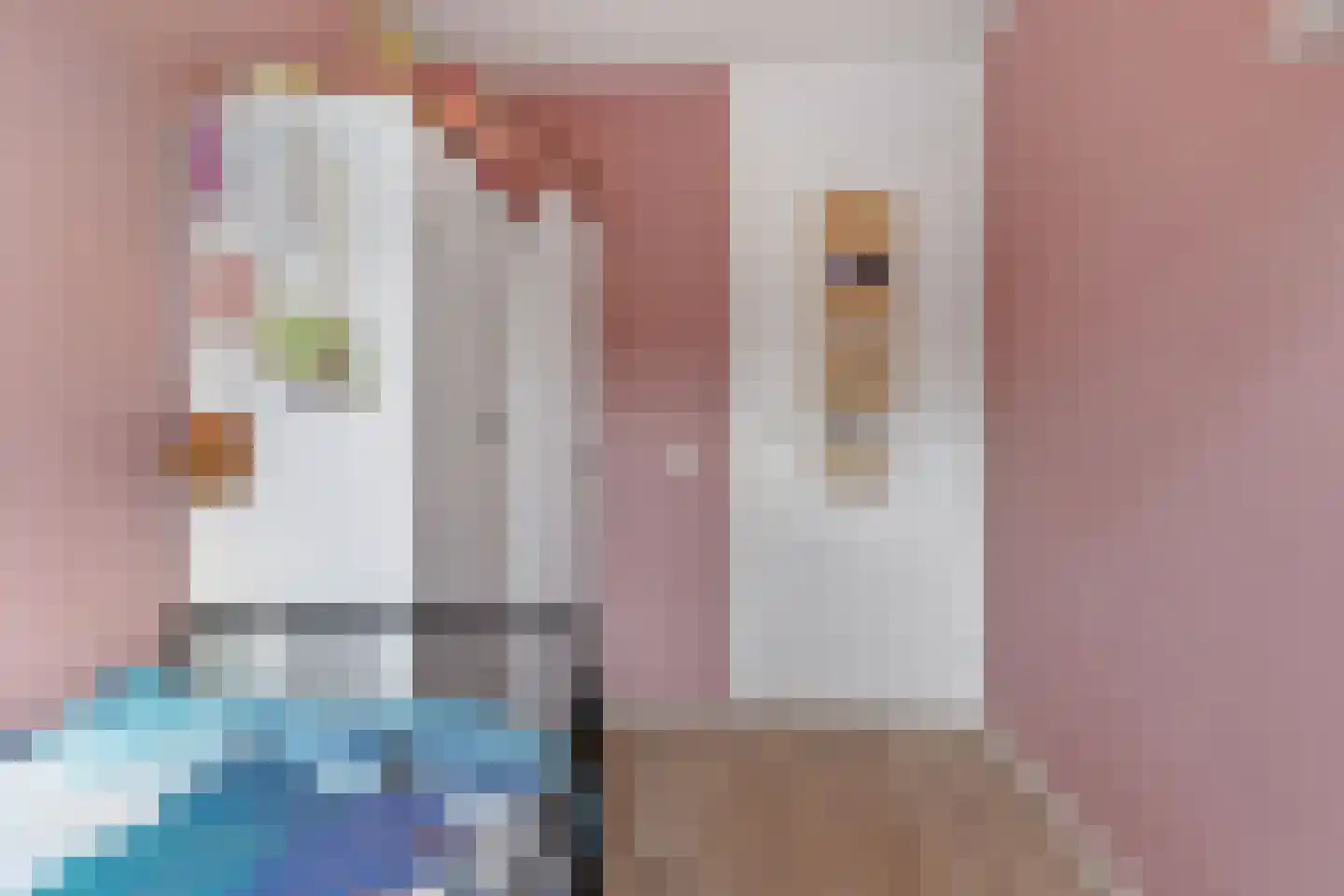 Johan Buziaustraat 33 Hengelo thumbnail 21