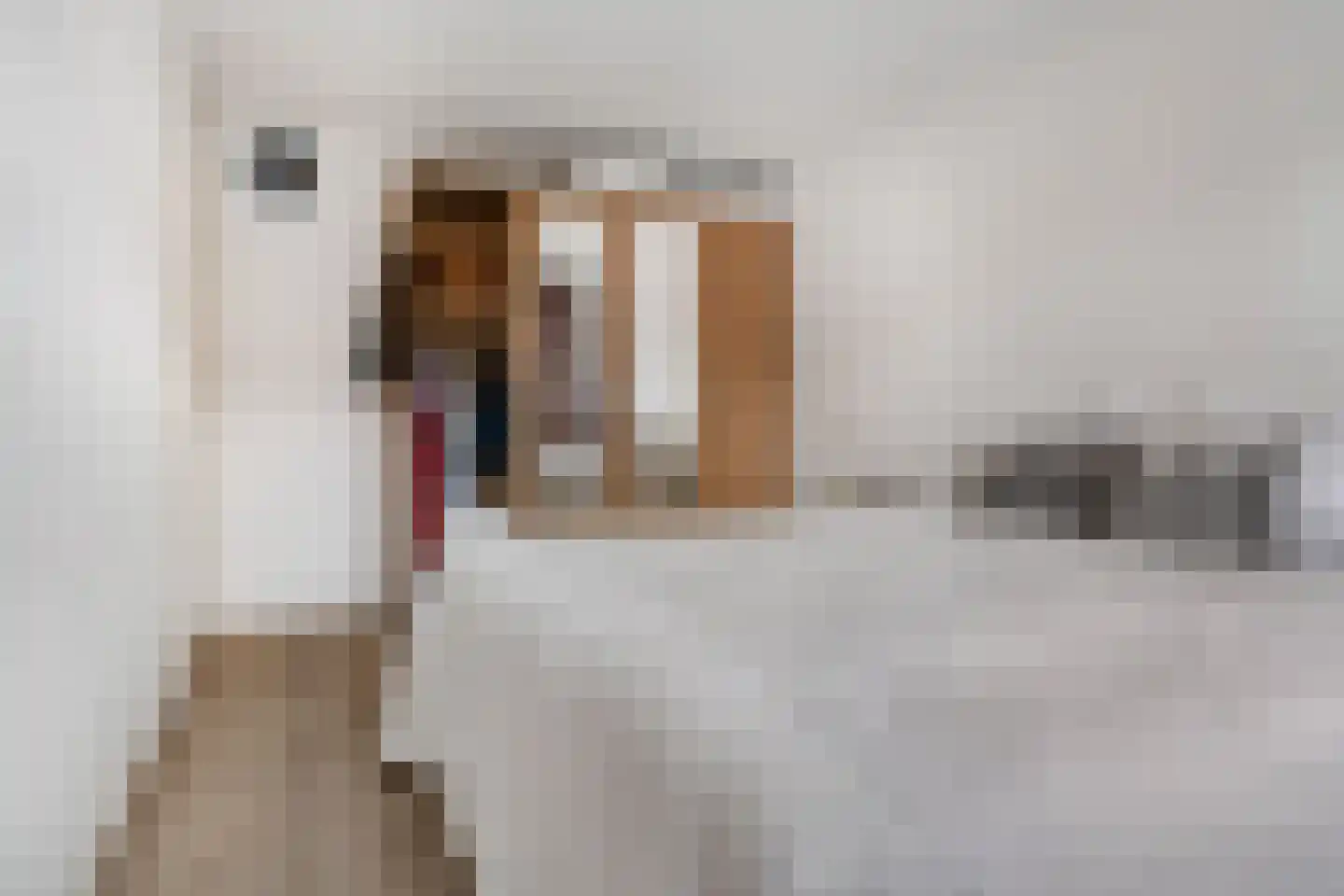 Johan Buziaustraat 33 Hengelo thumbnail 23