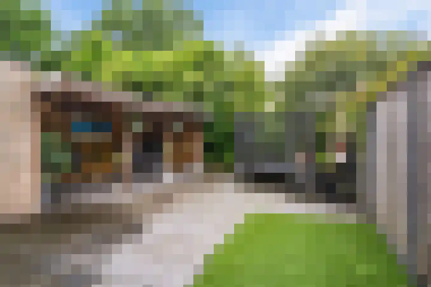 Johan Buziaustraat 33 Hengelo thumbnail 33