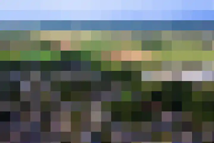 Johan Buziaustraat 7 Wageningen thumbnail 4