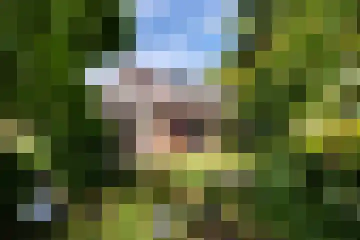 Johan Buziaustraat 7 Wageningen thumbnail 42