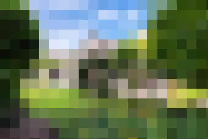 Johan Buziaustraat 7 Wageningen thumbnail 43