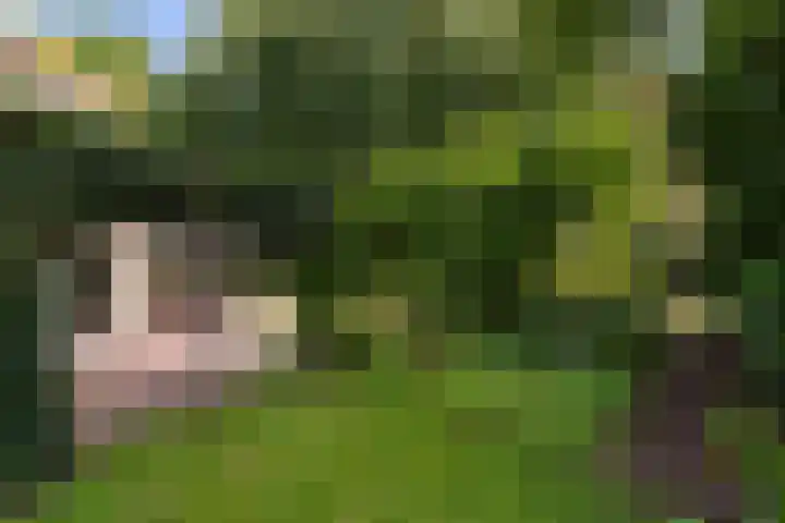 Johan Buziaustraat 7 Wageningen thumbnail 45