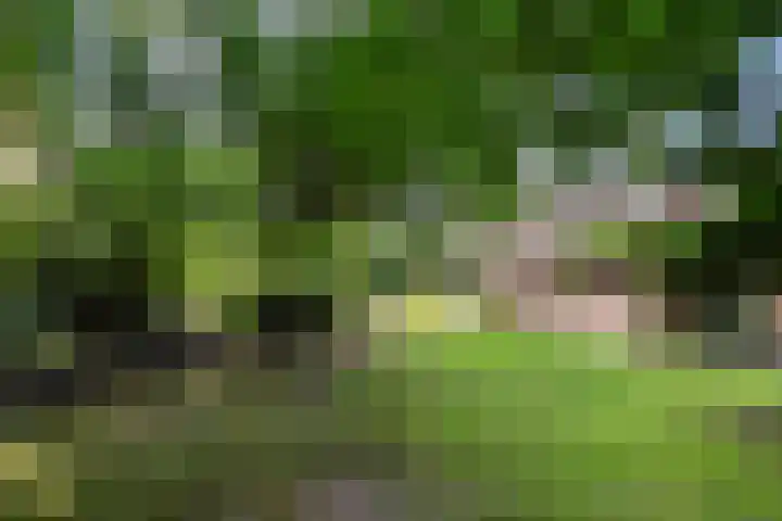 Johan Buziaustraat 7 Wageningen thumbnail 46