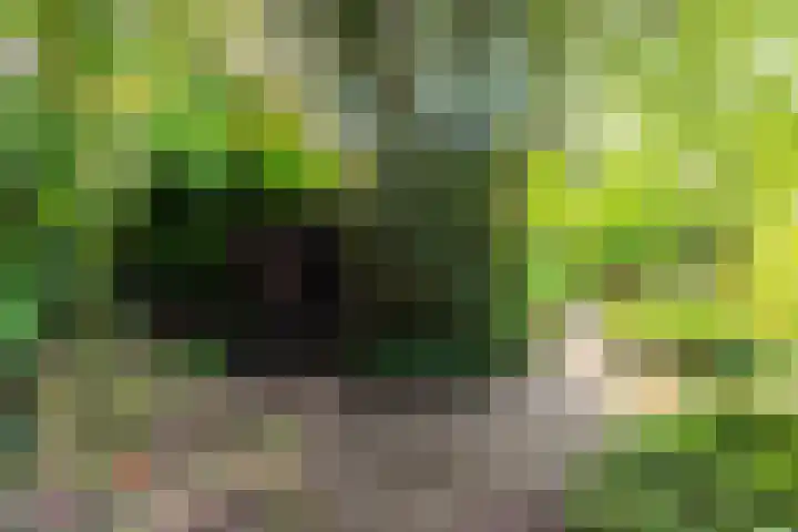 Johan Buziaustraat 7 Wageningen thumbnail 47