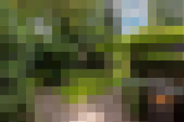 Johan Buziaustraat 7 Wageningen thumbnail 48