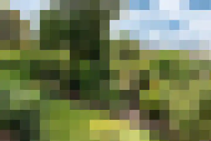 Johan Buziaustraat 7 Wageningen thumbnail 49