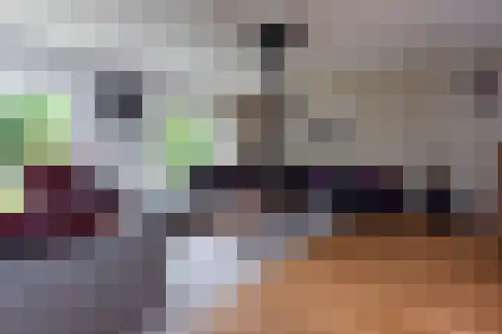 Johan Buziaustraat 7 Wageningen thumbnail 5