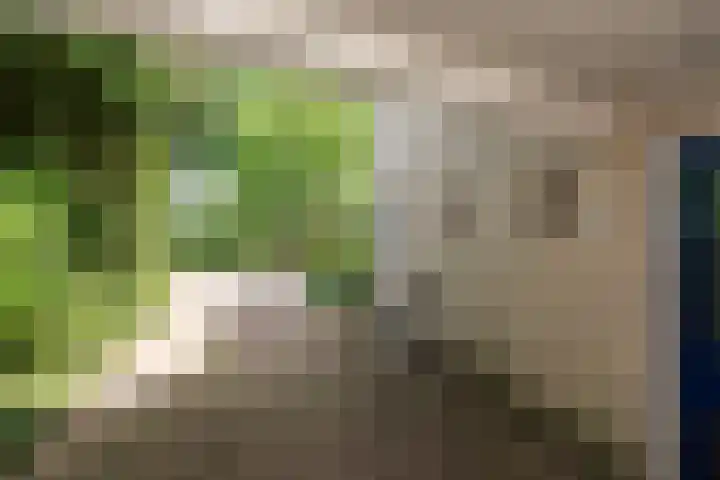 Johan Buziaustraat 7 Wageningen thumbnail 51
