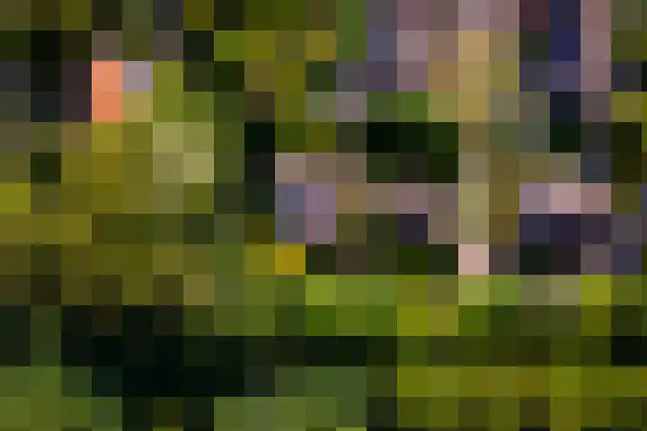 Johan Buziaustraat 7 Wageningen thumbnail 53
