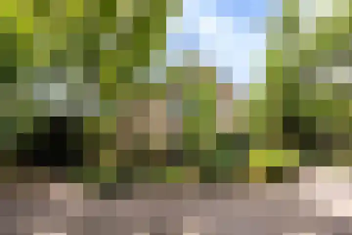 Johan Buziaustraat 7 Wageningen thumbnail 63