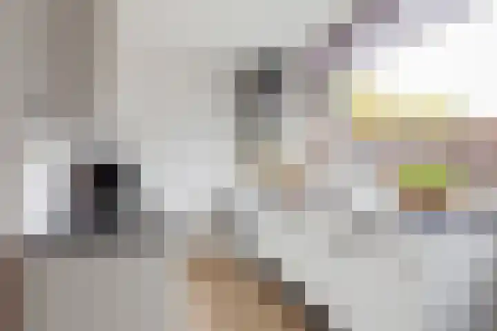 Johan Buziaustraat 99 Hengelo thumbnail 10