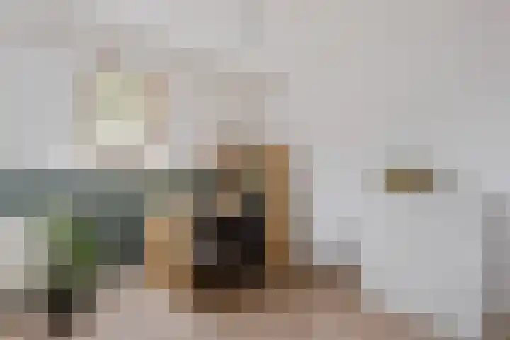 Johan Buziaustraat 99 Hengelo thumbnail 16