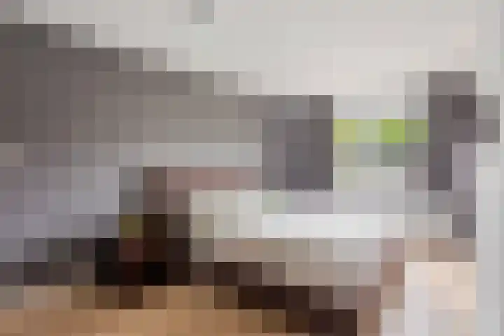 Johan Buziaustraat 99 Hengelo thumbnail 4