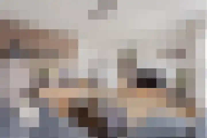 Johan Buziaustraat 99 Hengelo thumbnail 8