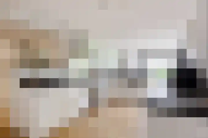 Johan Clantstraat 3 Aduard thumbnail 21