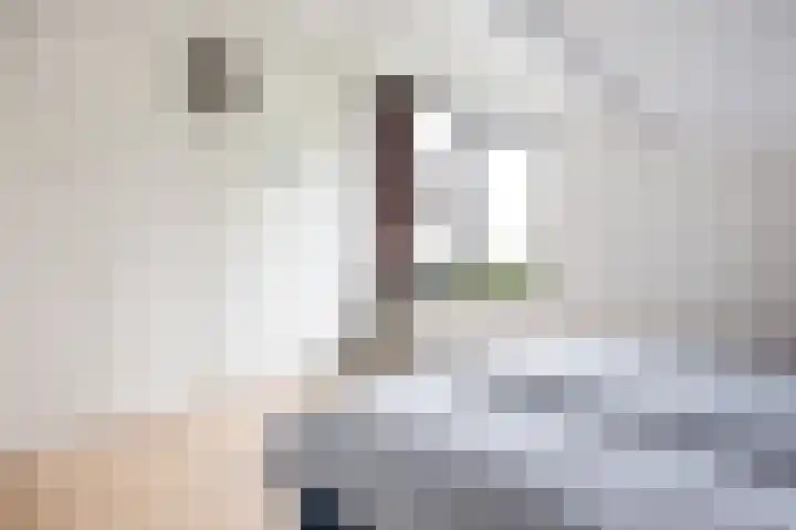 Johan Clantstraat 3 Aduard thumbnail 39