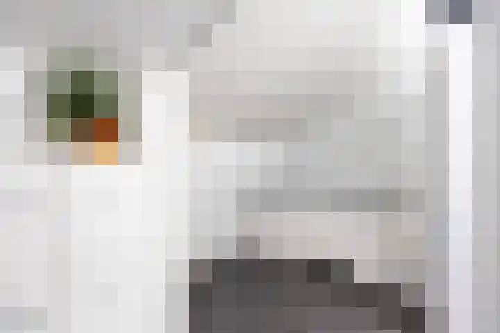 Johan Clantstraat 3 Aduard thumbnail 43