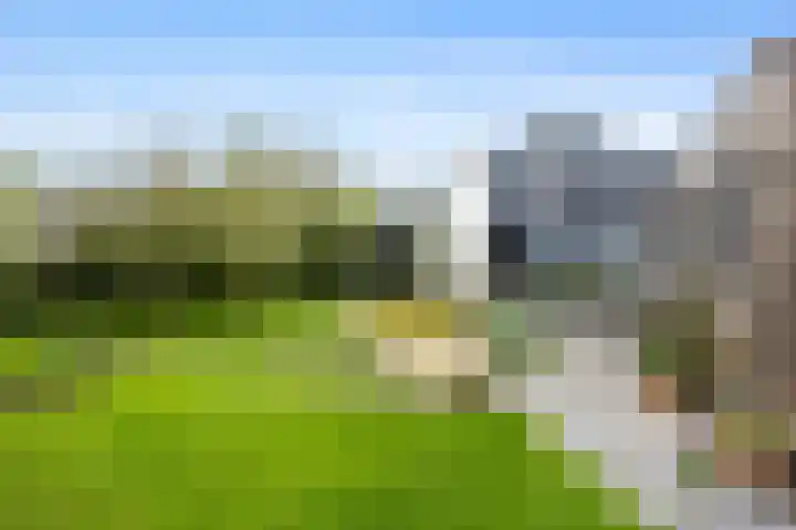 Johan Clantstraat 3 Aduard thumbnail 47